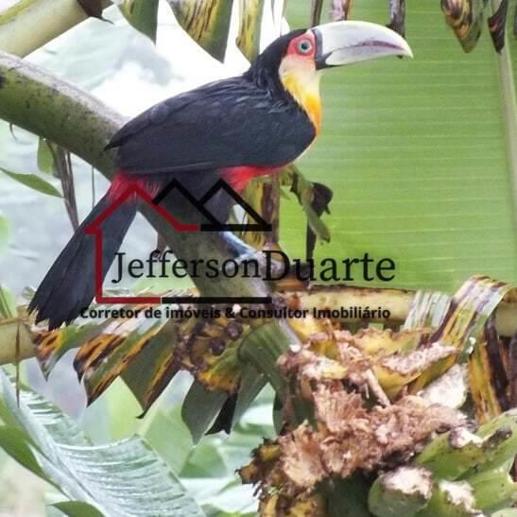 Comercial com 8 Quartos à Venda, 1.680,00 m² - Foto 13