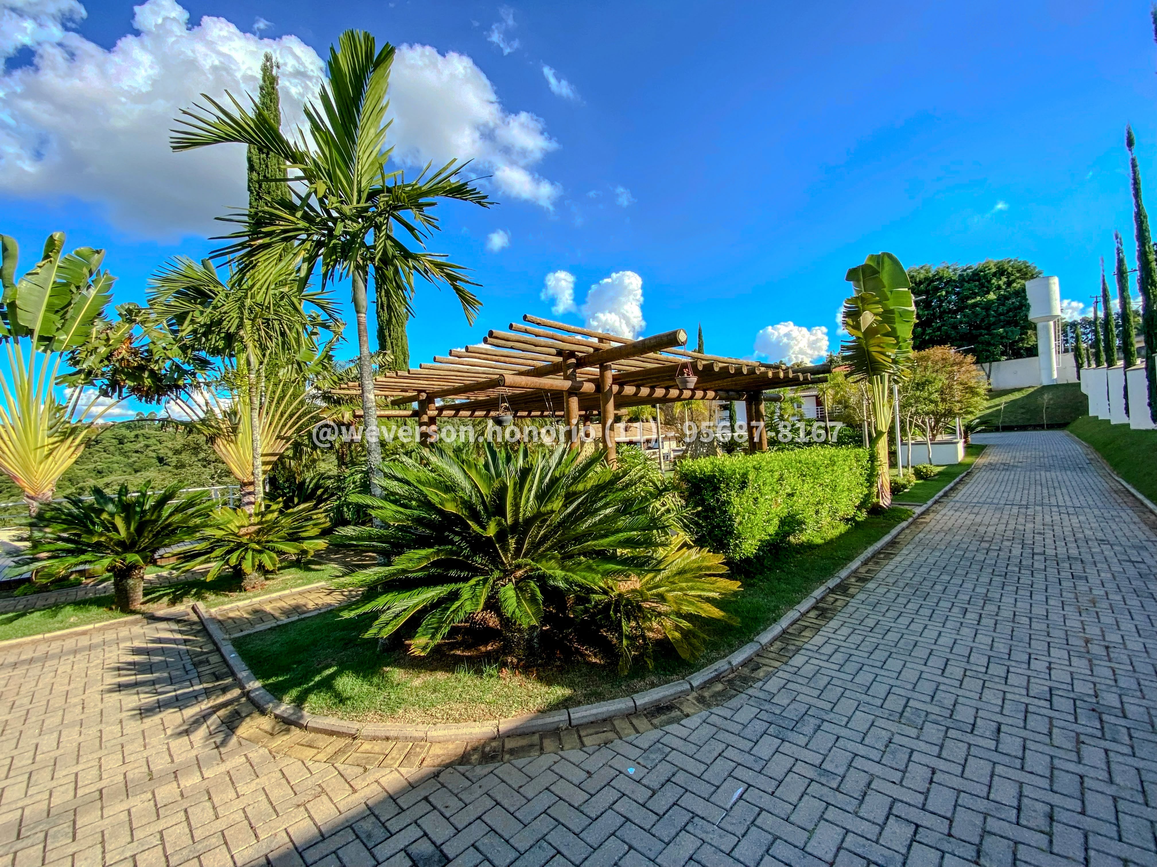 Casa com 7 Quartos à Venda, 8.000,00 m² - Foto 17