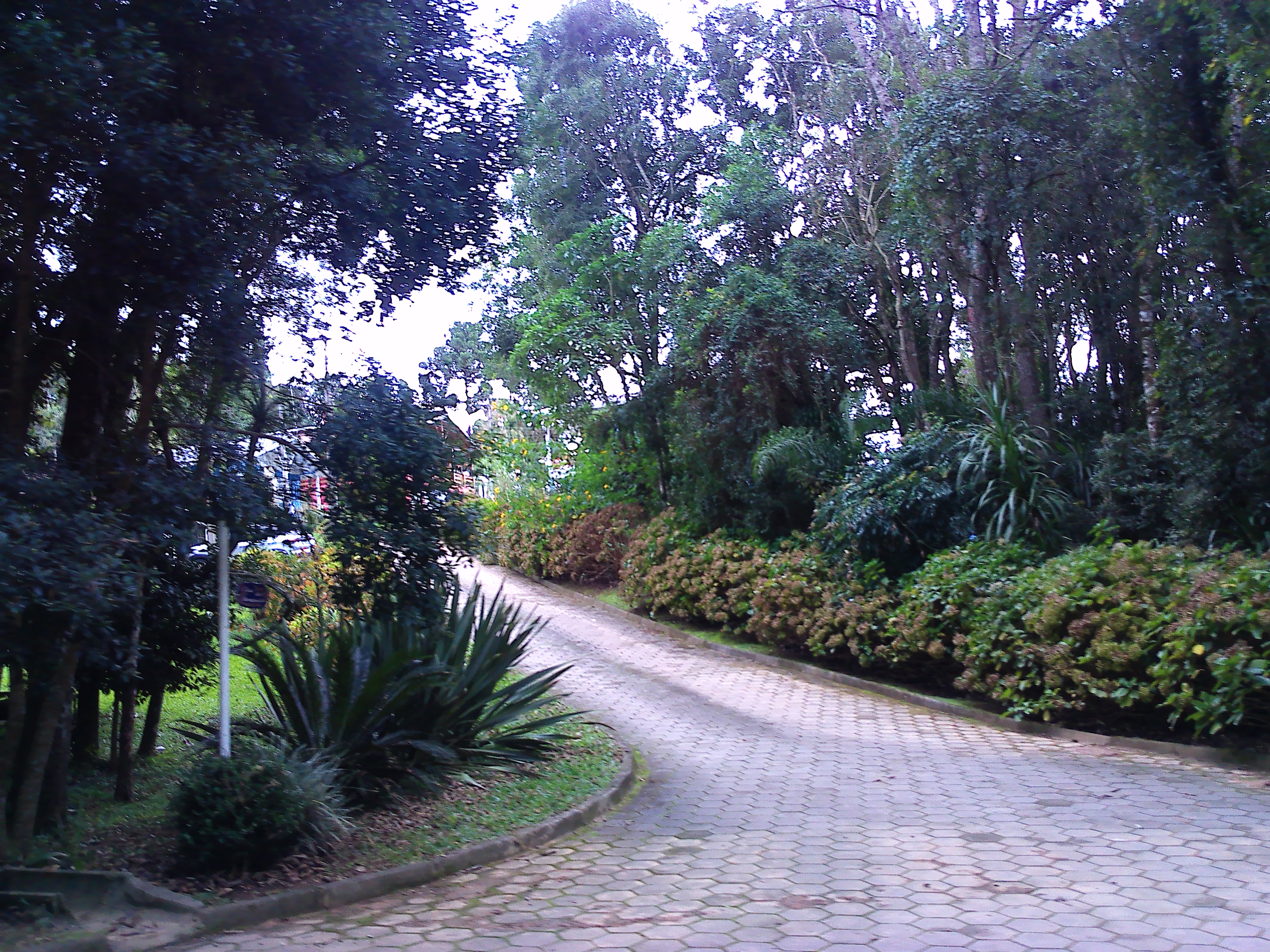 Rural com 3 Quartos à Venda, 1.237,22 m² - Foto 54