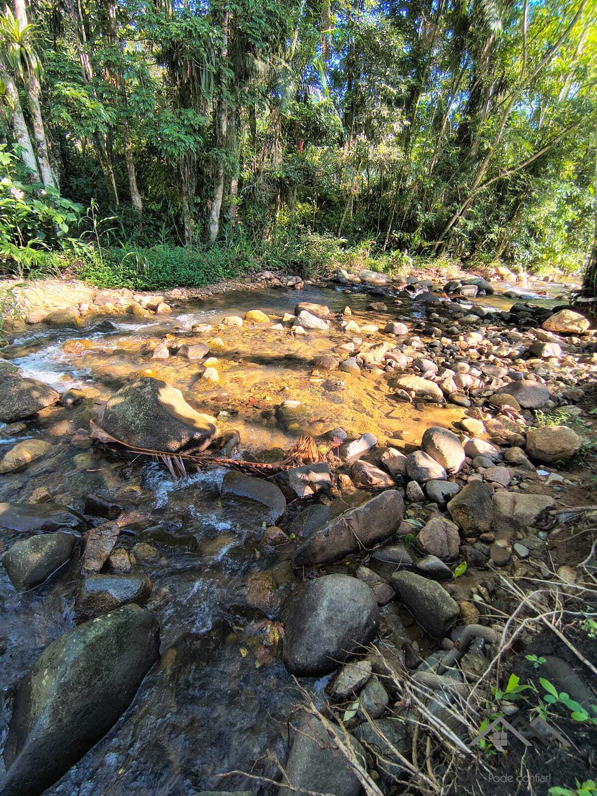 Rural à Venda, 84.700,00 m² - Foto 76