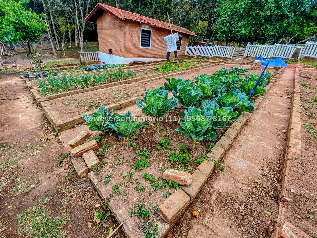 Casa com 4 Quartos à Venda, 10.000,00 m² - Foto 34