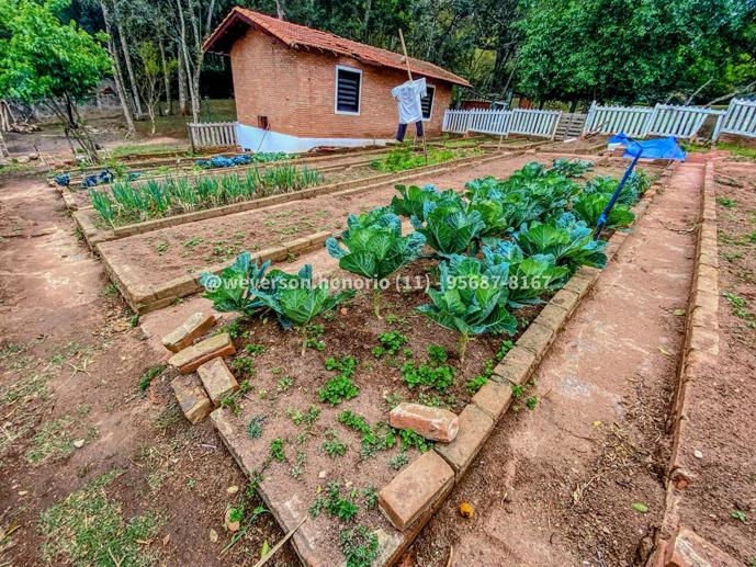 Casa com 4 Quartos à Venda, 10.000,00 m² - Foto 34