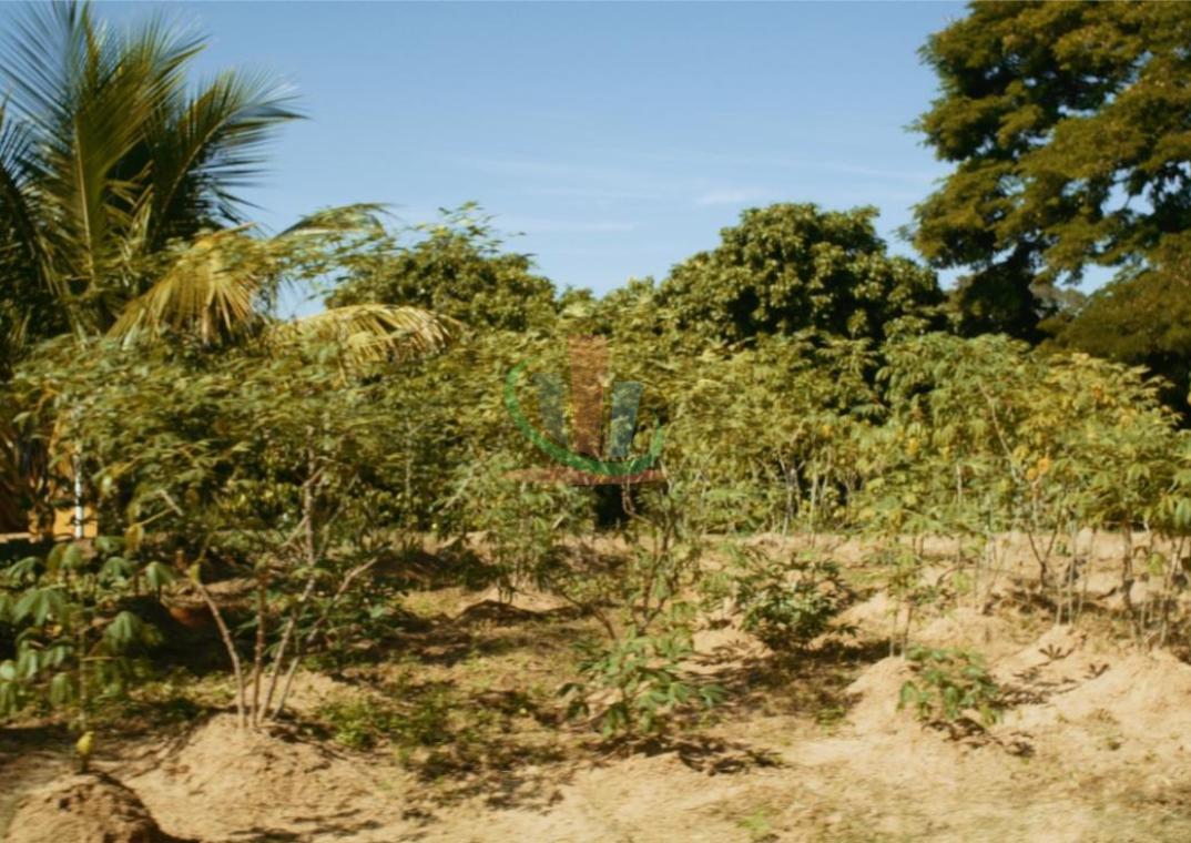 Rural com 4 Quartos à Venda, 241.000,00 m² - Foto 22