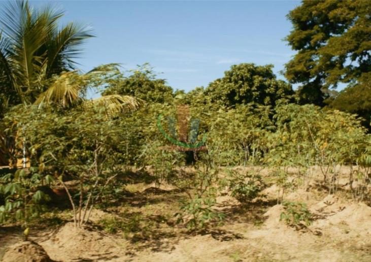 Rural com 4 Quartos à Venda, 241.000,00 m² - Foto 22