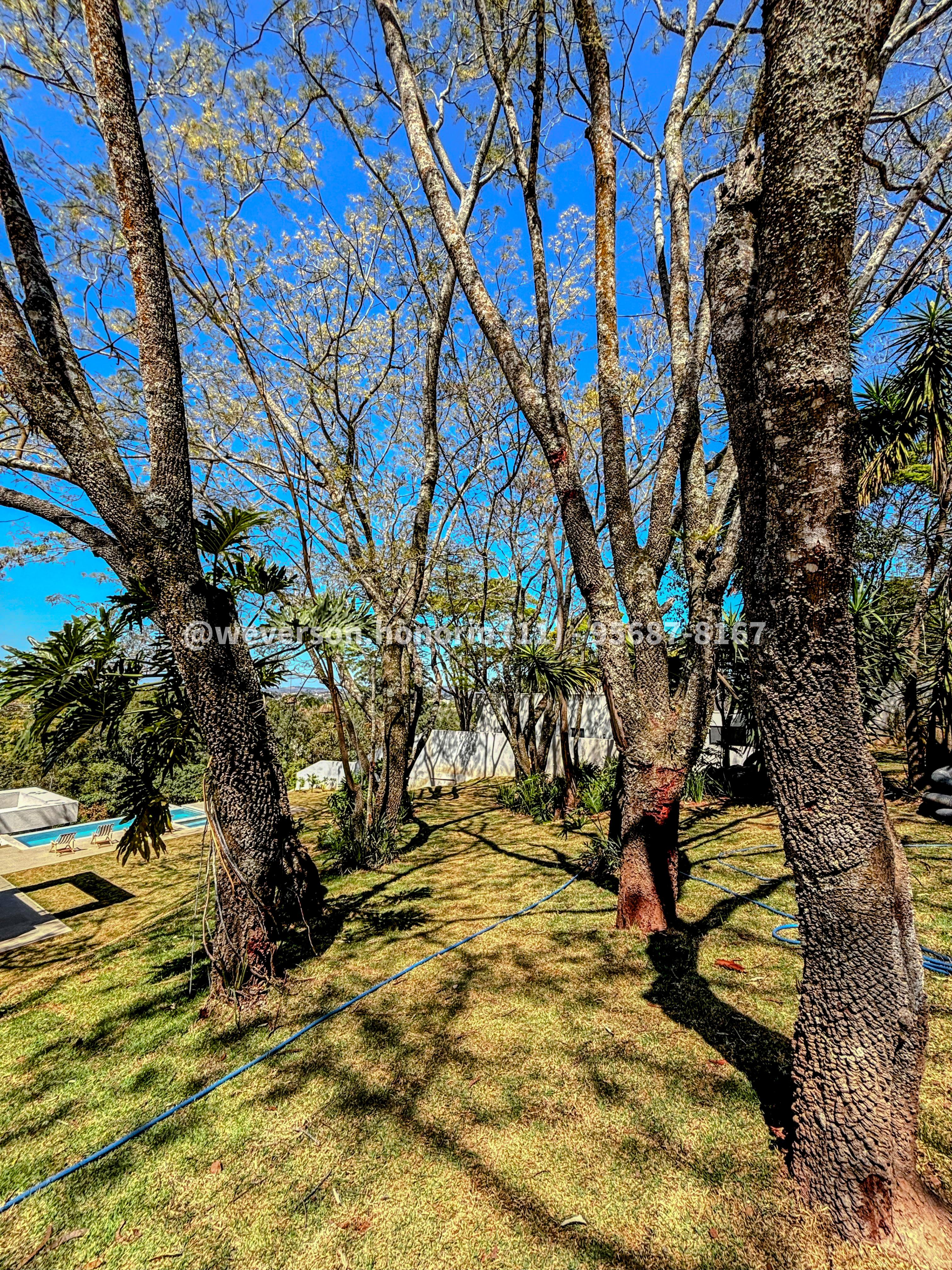 Casa à Venda, 3.600,00 m² - Foto 18