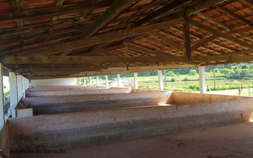 Rural com 7 Quartos à Venda - Foto 51