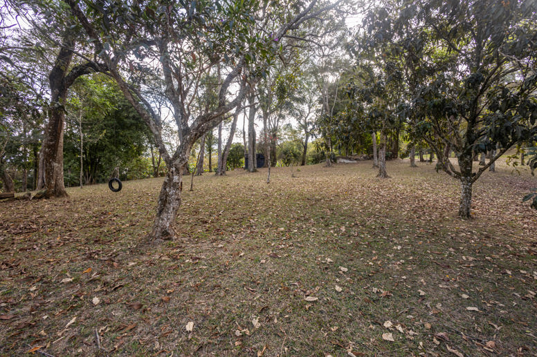 Rural com 3 Quartos à Venda, 29.607,00 m² - Foto 17