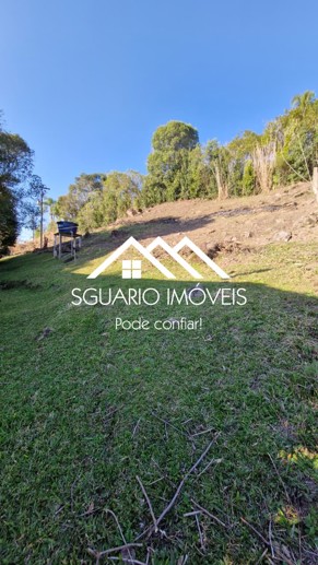 Rural com 4 Quartos à Venda, 7.865,00 m² - Foto 24