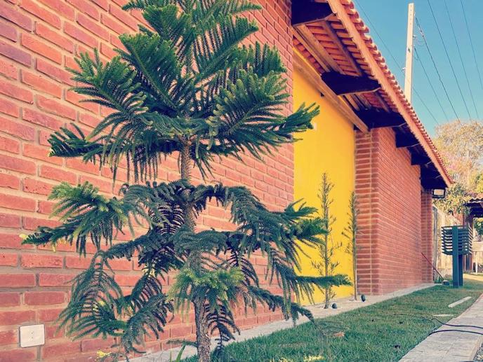 Rural com 8 Quartos à Venda, 1.800,00 m² - Foto 7