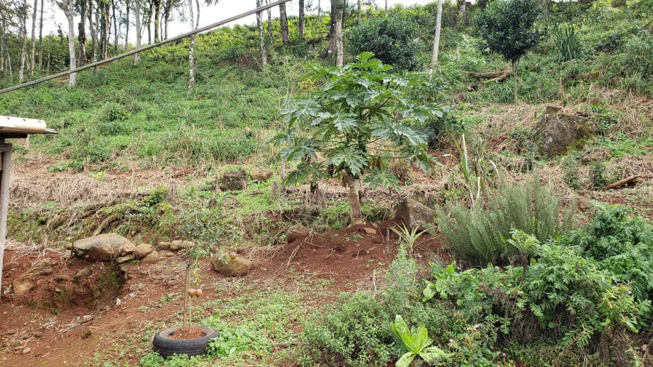 Rural com 2 Quartos à Venda, 84,00 m² - Foto 18