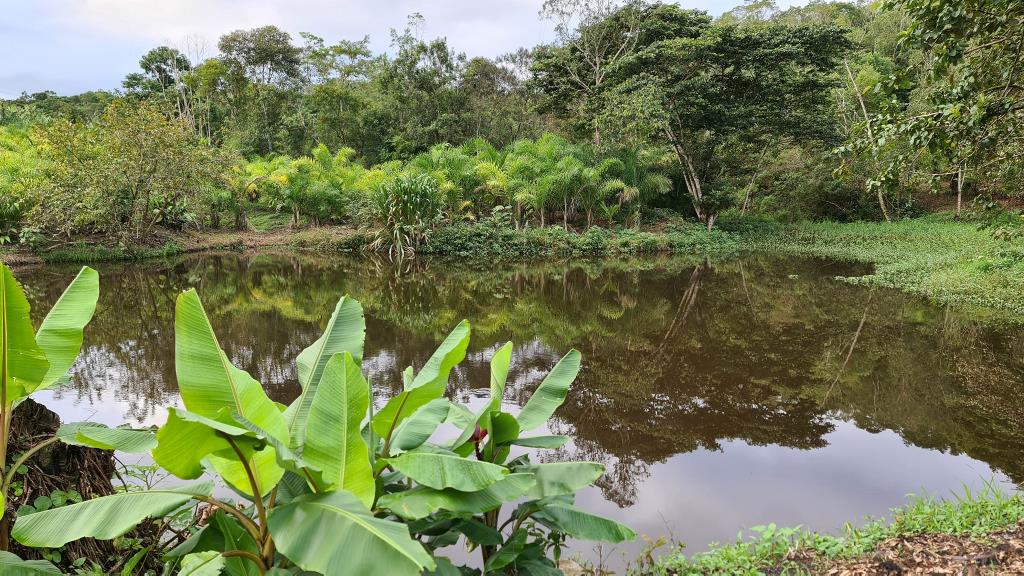 Casa com 2 Quartos à Venda, 30.000,00 m² - Foto 5