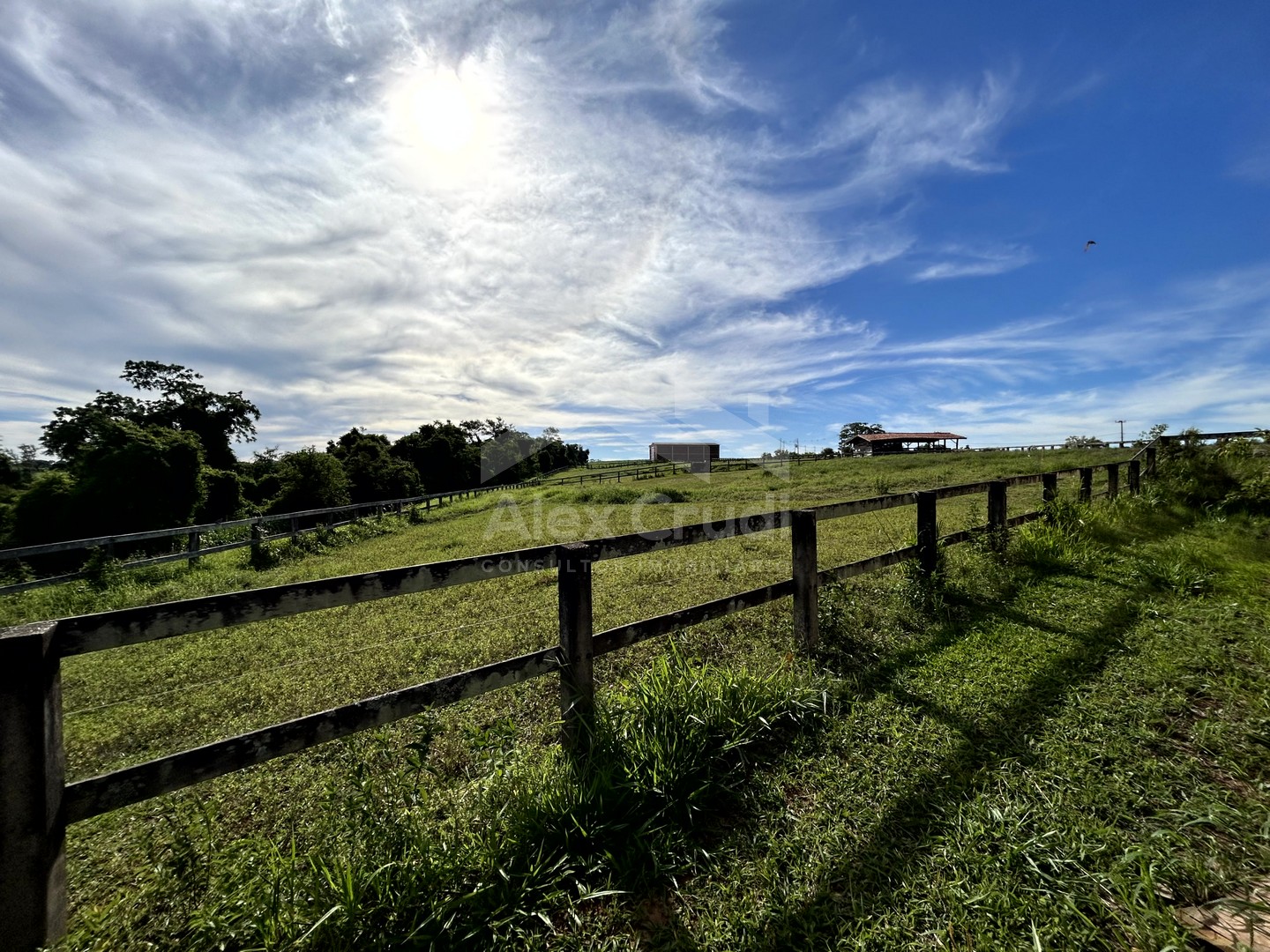Rural com 8 Quartos à Venda, 242.000,00 m² - Foto 18