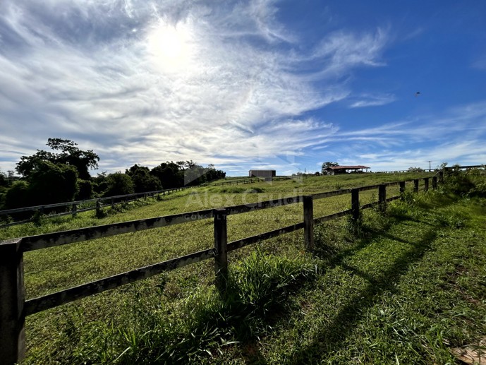 Rural com 8 Quartos à Venda, 242.000,00 m² - Foto 21