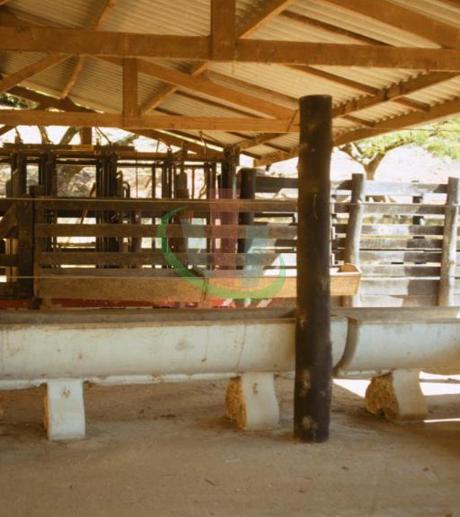 Rural com 4 Quartos à Venda, 241.000,00 m² - Foto 14