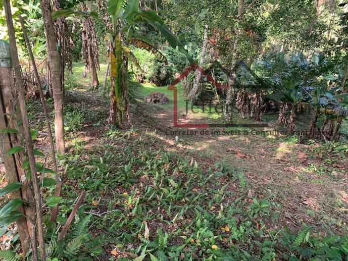 Rural com 1 Quarto à Venda, 2.500,00 m² - Foto 6