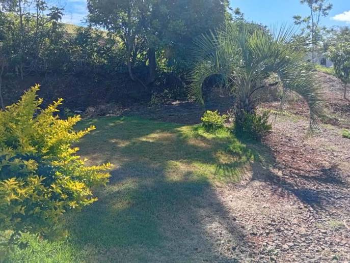 Rural com 2 Quartos à Venda, 3.000,00 m² - Foto 2