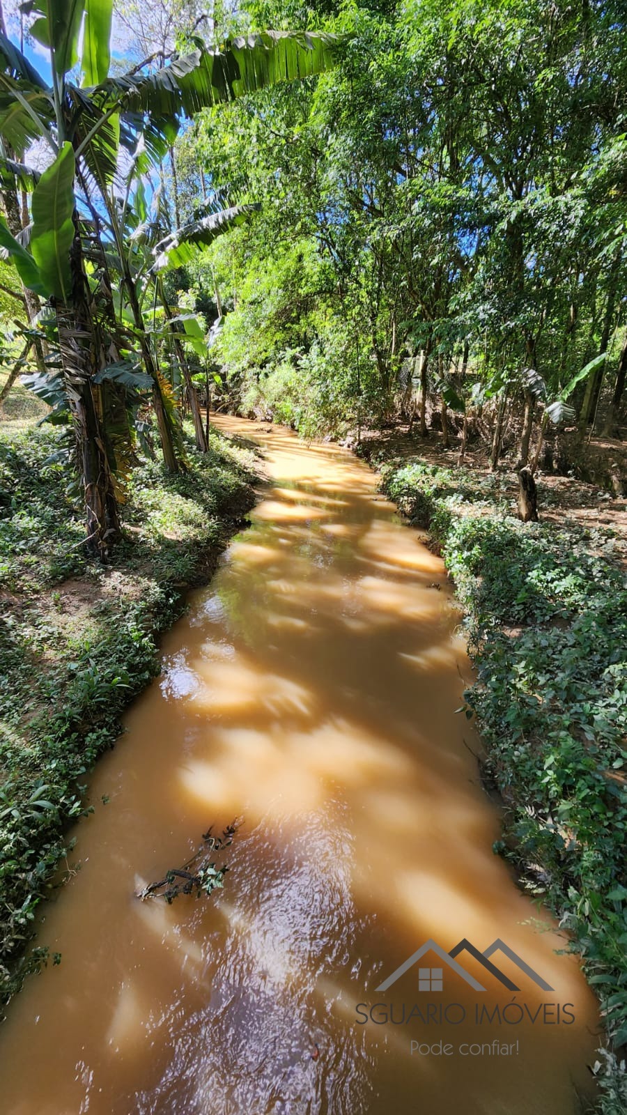 Rural à Venda, 3.025,00 m² - Foto 14