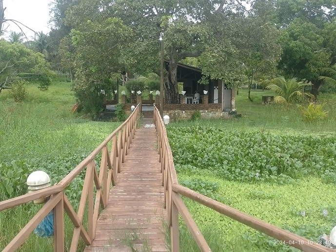 Rural com 4 Quartos à Venda - Foto 4
