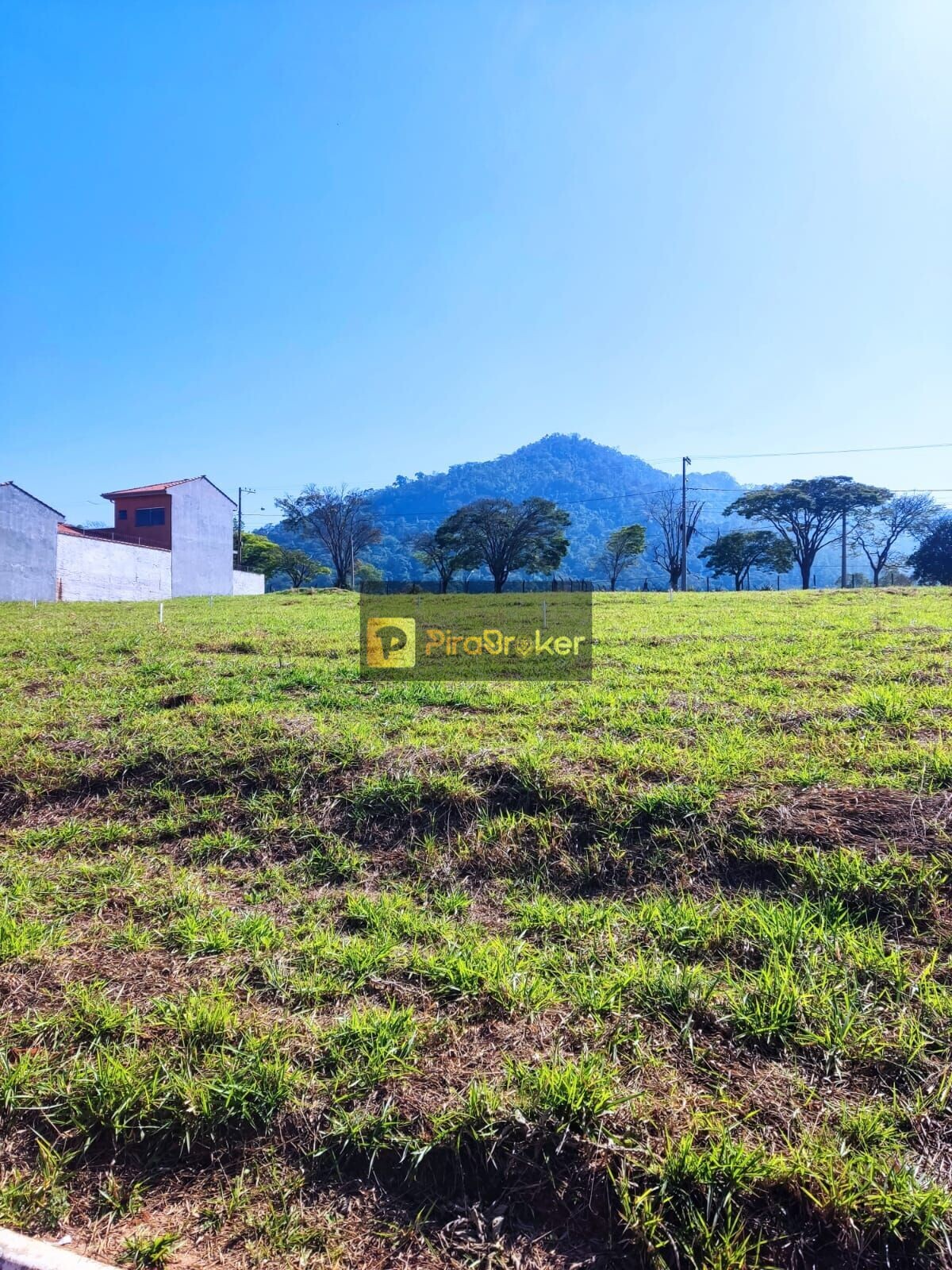Terreno à Venda, 300,00 m² - Foto 10