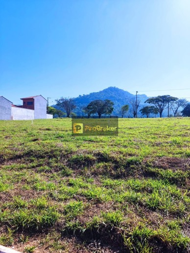 Terreno à Venda, 300,00 m² - Foto 10
