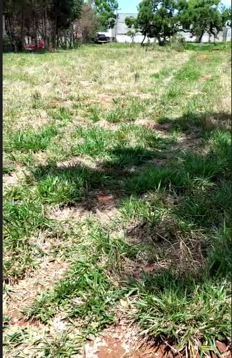 Terreno à Venda - Foto 1