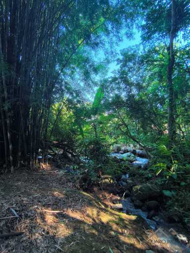 Rural à Venda, 84.700,00 m² - Foto 75