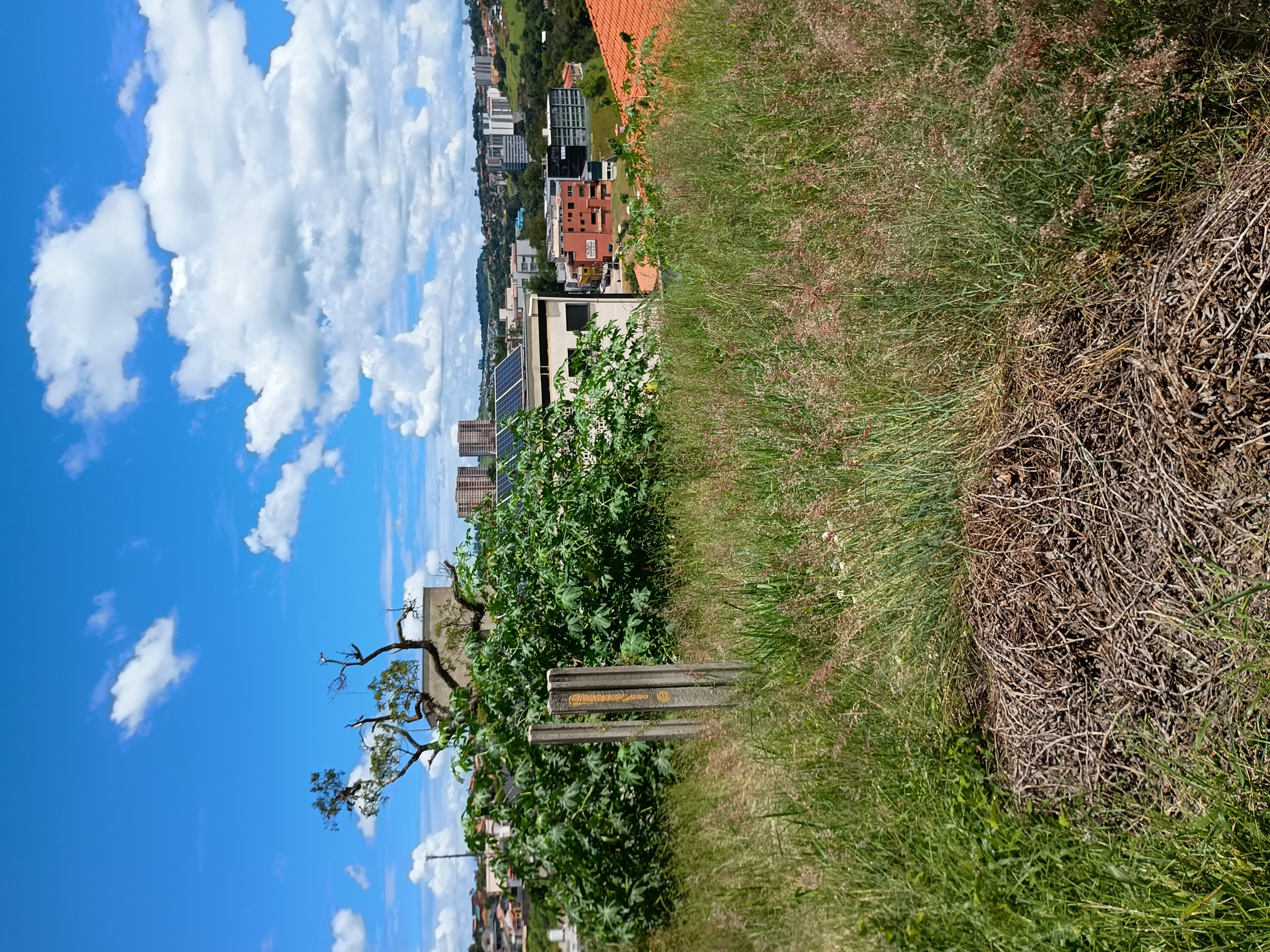 Terreno à Venda - Foto 3