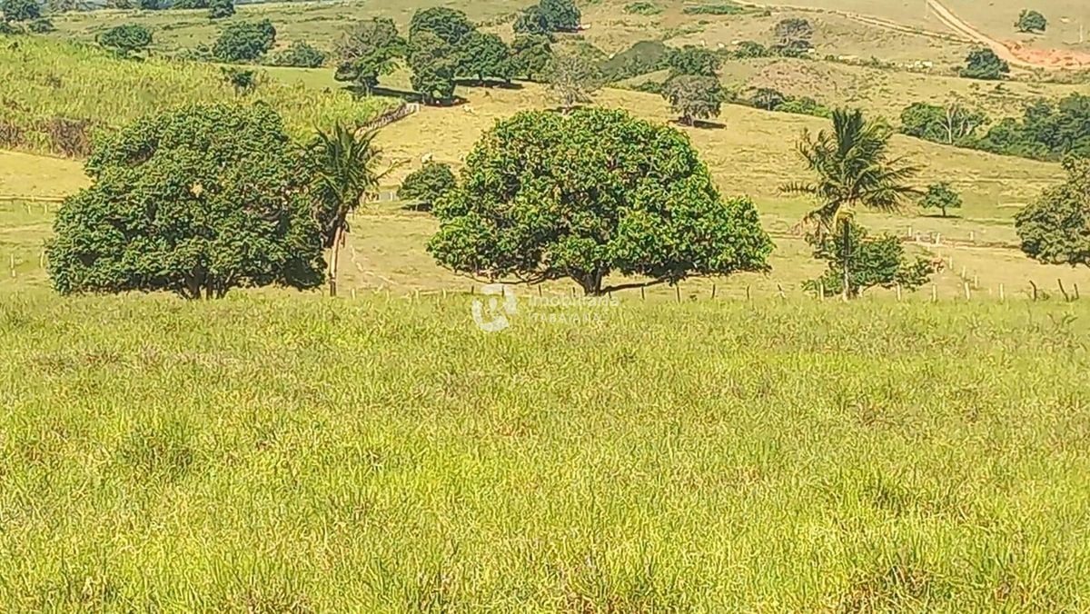 Rural com 5 Quartos à Venda, 868,00 m² - Foto 37