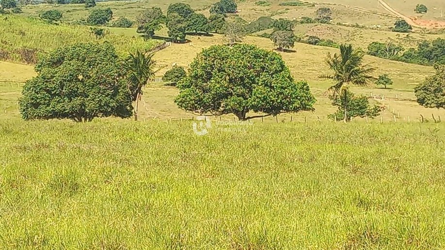 Rural com 5 Quartos à Venda, 868,00 m² - Foto 37