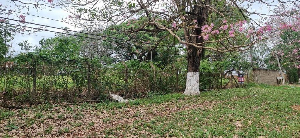 Terreno à Venda, 5.064,62 m² - Foto 4
