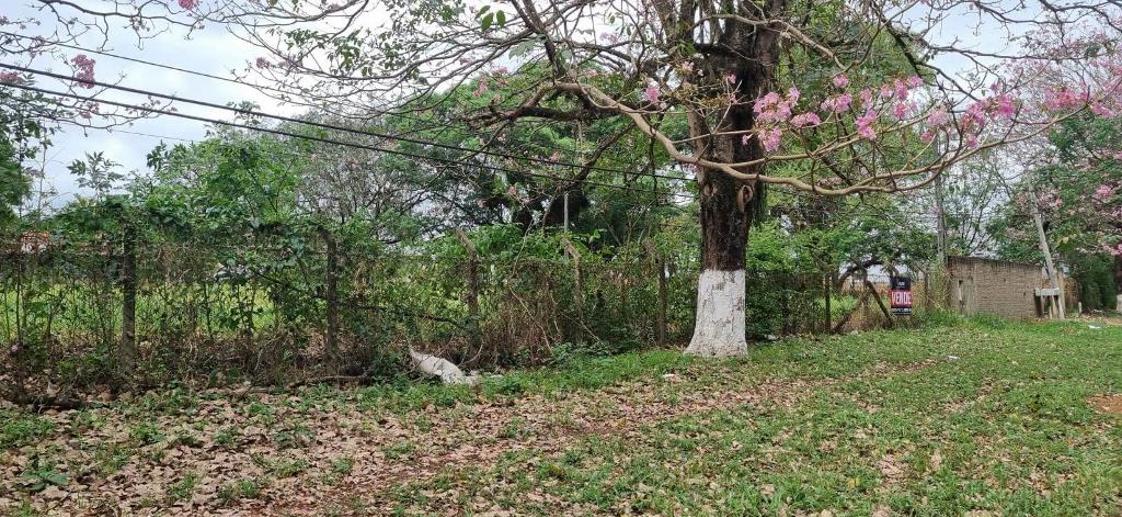 Terreno à Venda, 5.064,62 m² - Foto 7