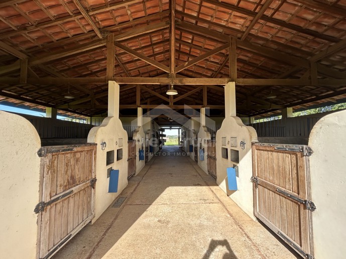 Rural com 8 Quartos à Venda, 242.000,00 m² - Foto 16