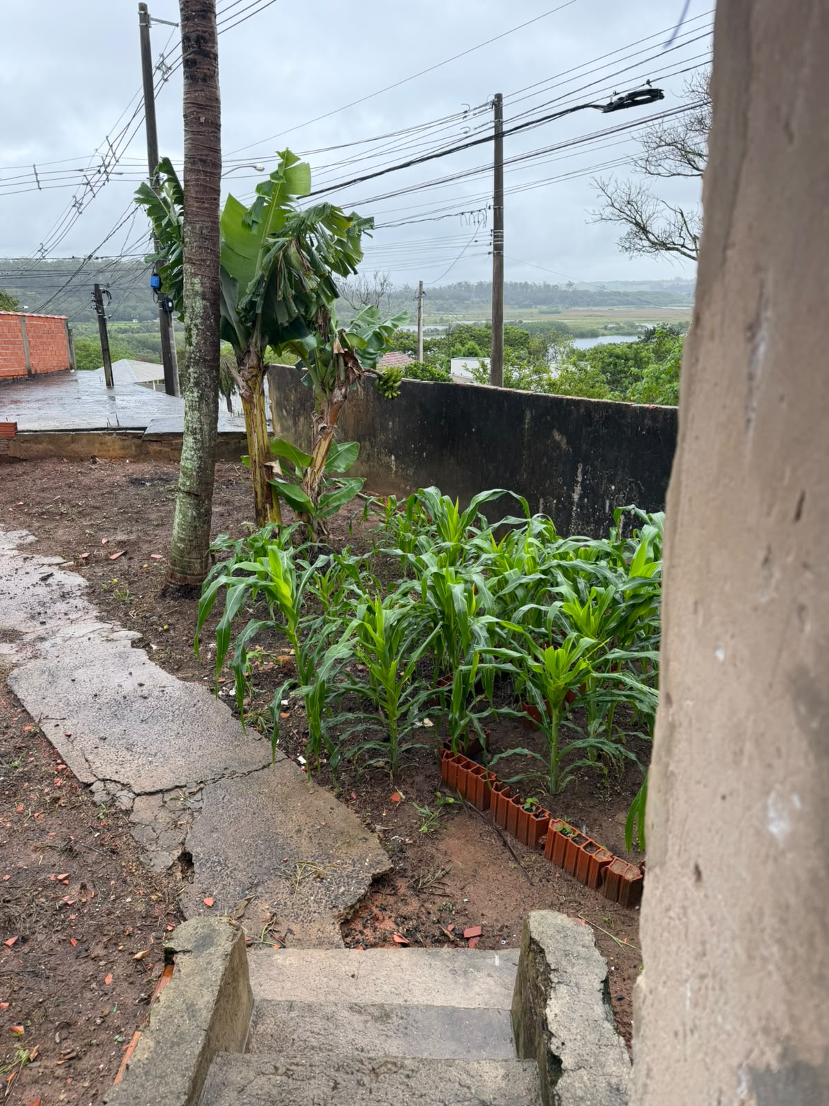 Terreno à Venda - Foto 2
