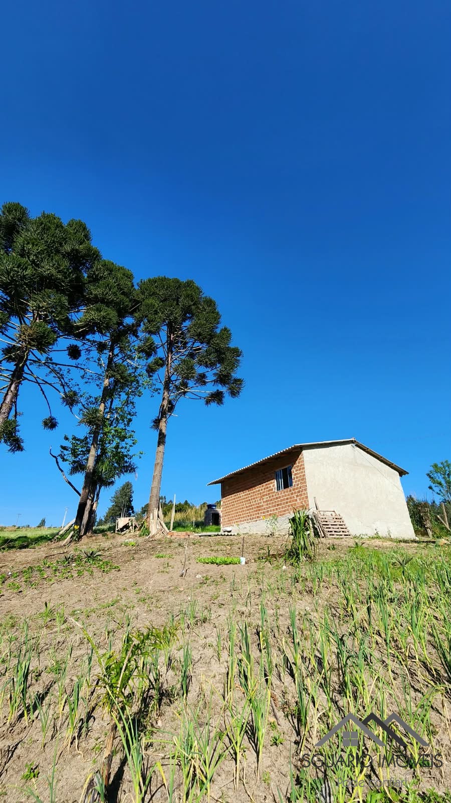 Rural à Venda, 24.200,00 m² - Foto 3