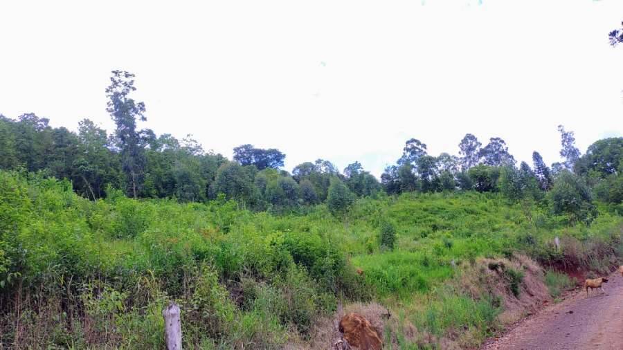 Rural à Venda, 2,00 m² - Foto 3