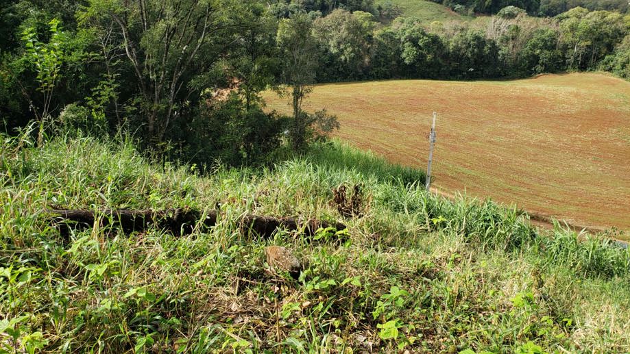 Rural com 2 Quartos à Venda, 84,00 m² - Foto 20