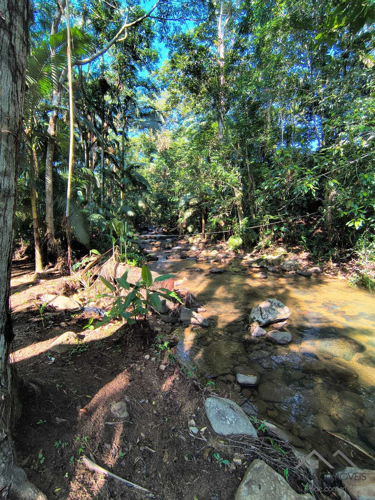 Rural à Venda, 84.700,00 m² - Foto 77
