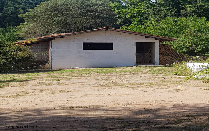 Rural com 7 Quartos à Venda - Foto 30