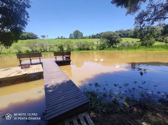 Rural à Venda - Foto 2
