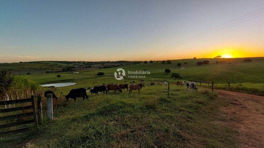 Rural com 5 Quartos à Venda, 868,00 m² - Foto 5
