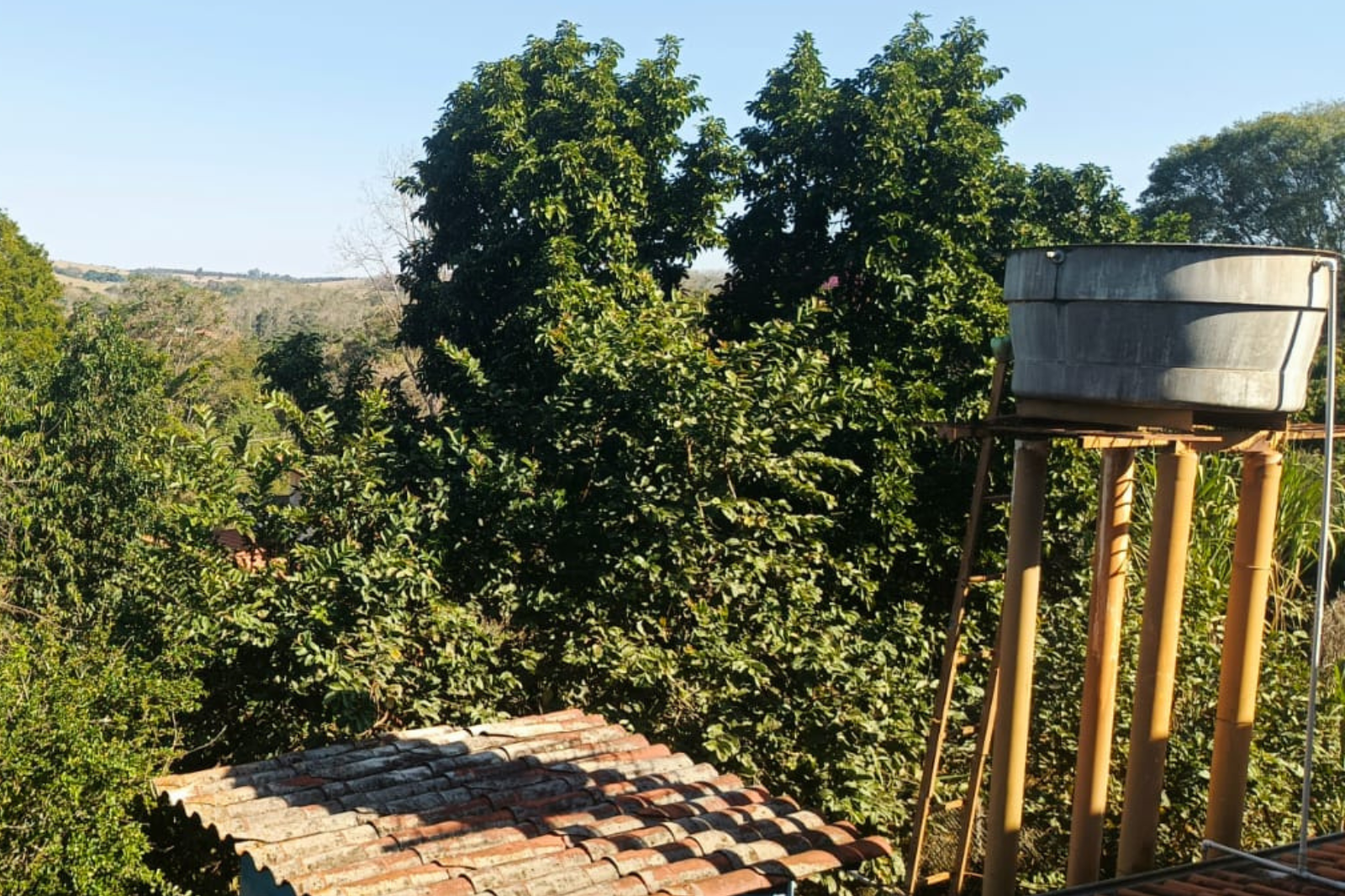 Rural com 2 Quartos à Venda, 1.411,00 m² - Foto 10