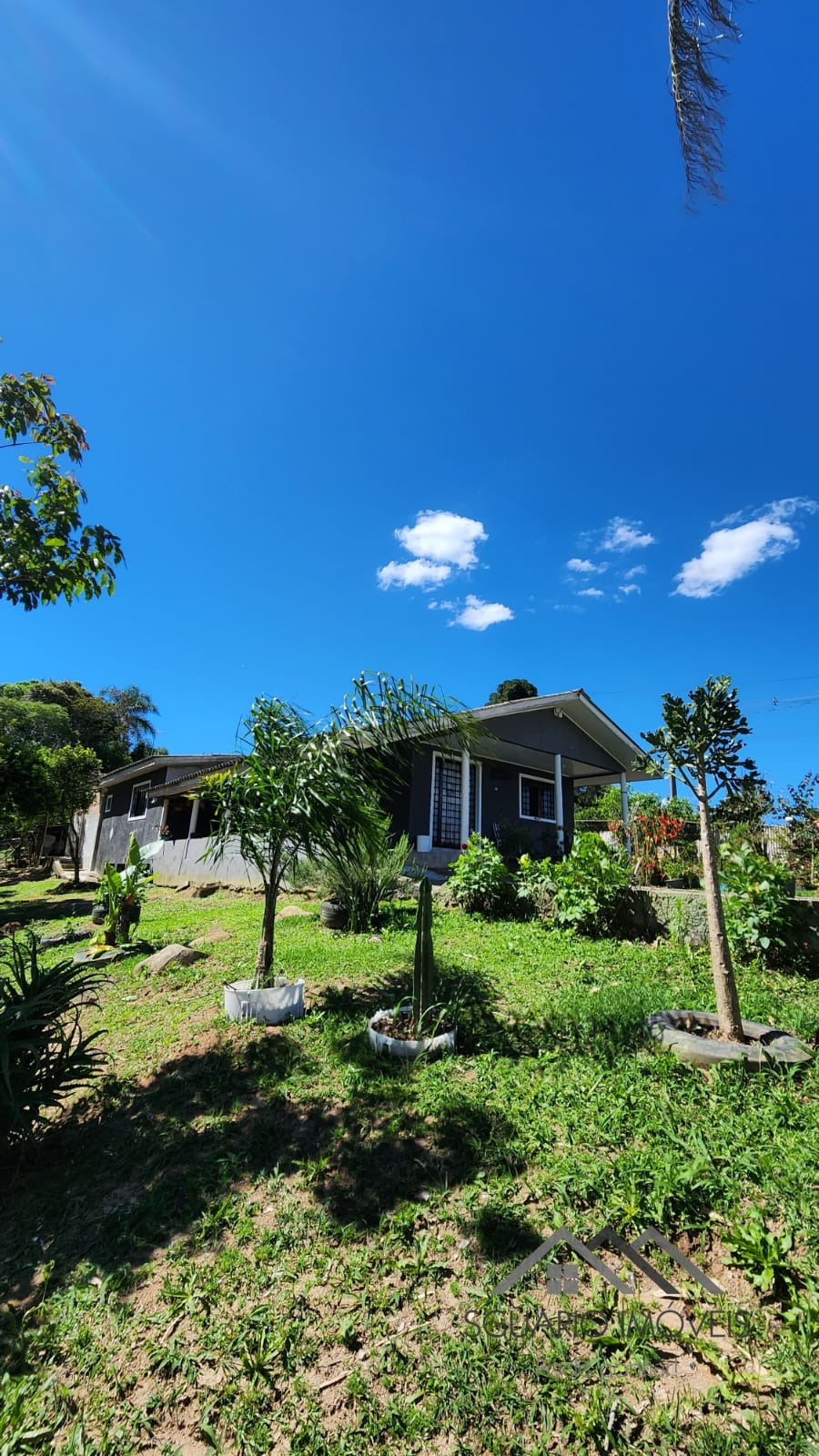 Rural à Venda, 6.050,00 m² - Foto 1