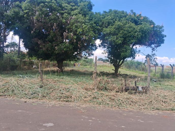 Terreno à Venda, 1.000,00 m² - Foto 1