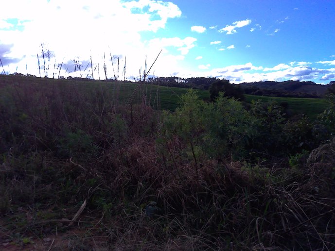 Rural com 3 Quartos à Venda, 24.946,87 m² - Foto 49