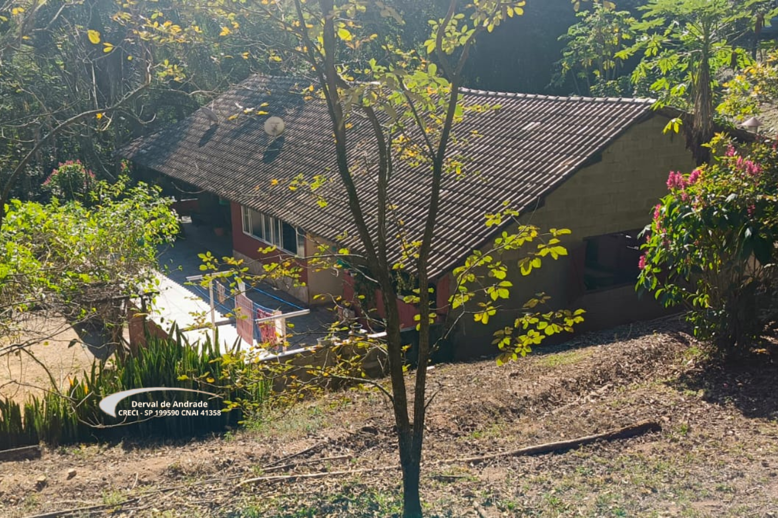 Rural com 4 Quartos à Venda, 24.000,00 m² - Foto 8