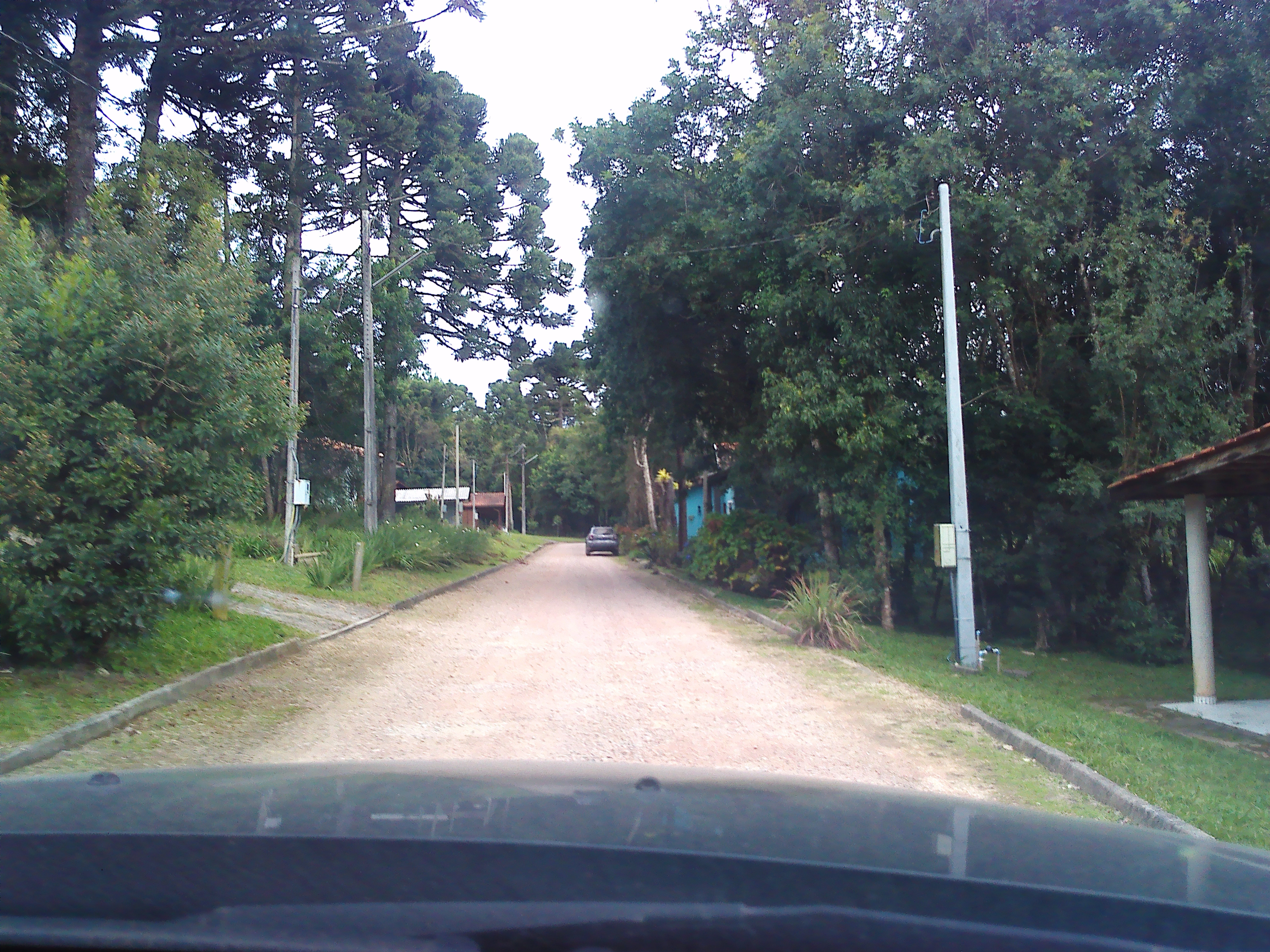 Rural com 3 Quartos à Venda, 1.237,22 m² - Foto 48