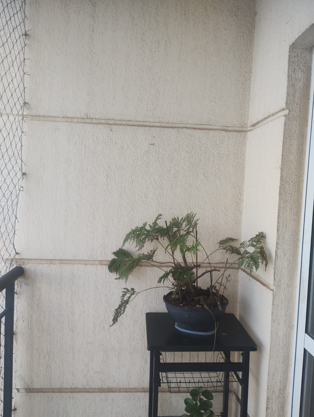 Apartamento com 2 Quartos à Venda - Foto 9