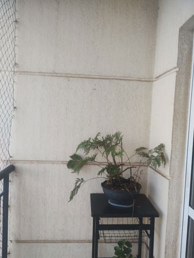 Apartamento com 2 Quartos à Venda - Foto 9