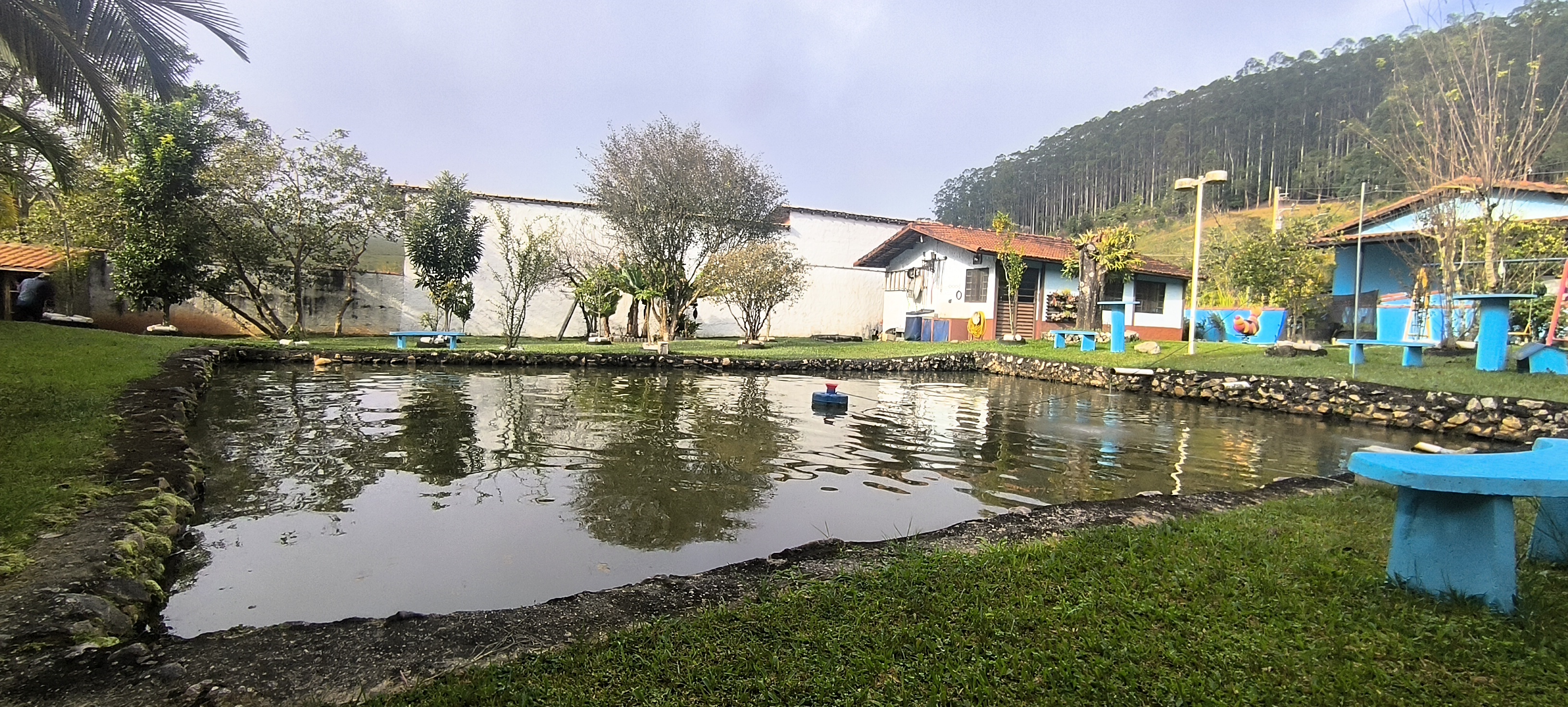 Rural com 5 Quartos à Venda, 1.000,00 m² - Foto 11