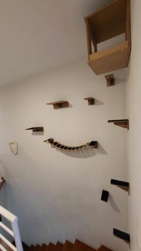 Casa com 3 Quartos à Venda, 108,45 m² - Foto 19